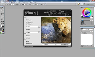 corel painter 11截图