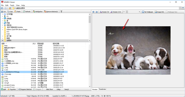 WildBit Viewer截图