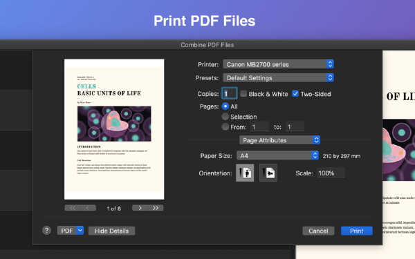 Combine PDF Files