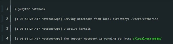 Jupyter Notebook截图