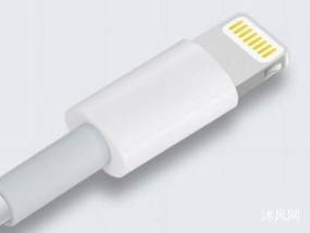 苹果 Lightning 接口 USB接口 含公头及母座