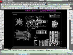 Z-1301德士古工艺烧嘴CAD装配图