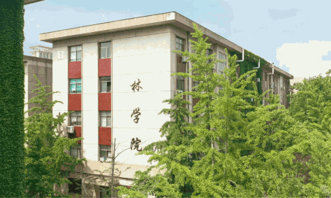 山东农业大学林学院