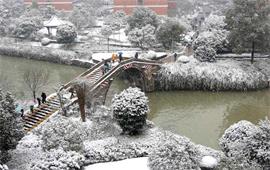 浙江工业大学风景