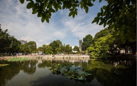 广西大学西校园镜湖