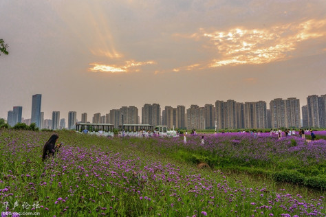 按此在新窗口浏览图片