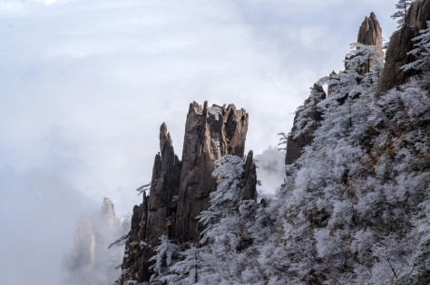 安徽黄山雪景树挂图片-09