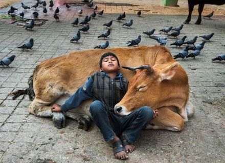 人文摄影大师Steve McCurry镜头里的温情时刻