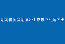 典型案例 | 湖南省洞庭湖湿地生态破坏问题突出