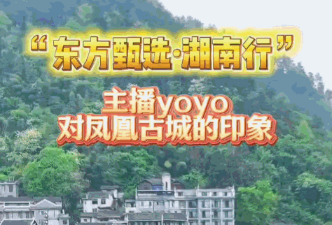 红视频｜“东方甄选·湖南行”主播YoYo对凤凰古城的印象