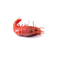 红魔虾十大品牌排行榜
