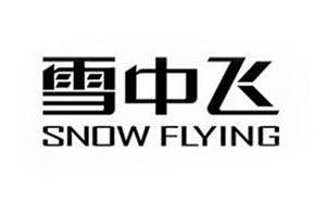 雪中飞/Snow Flying