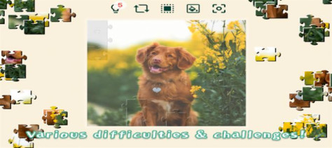 宠物狗狗的拼图挑战游戏图2