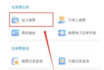 云南电子税务局网上办税大厅官方app图片3