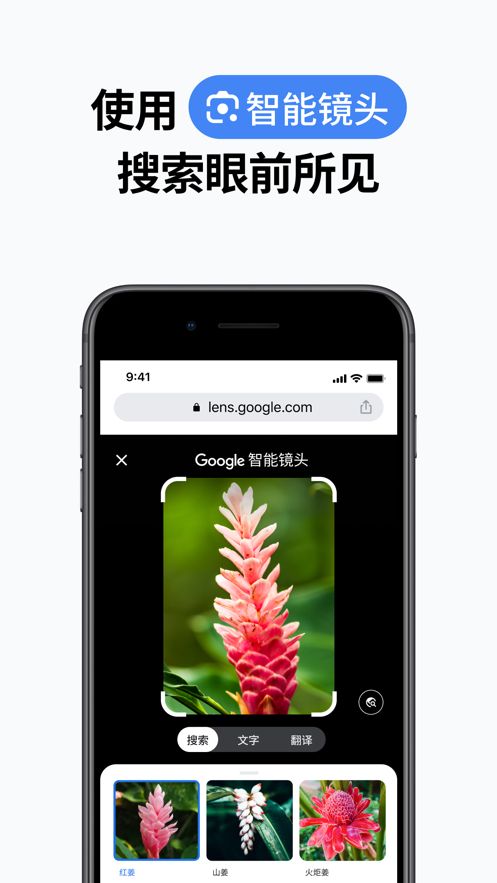 chrome浏览器最新版本下载iOS版图片2