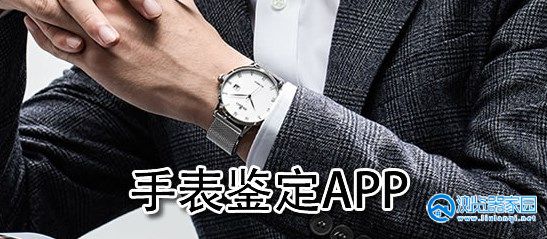 手表真假鉴定app-手表真假鉴定软件-手表辨别真伪的软件