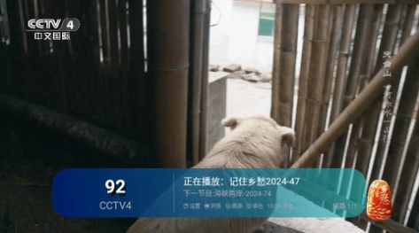 三瓶TV app手机版图片1