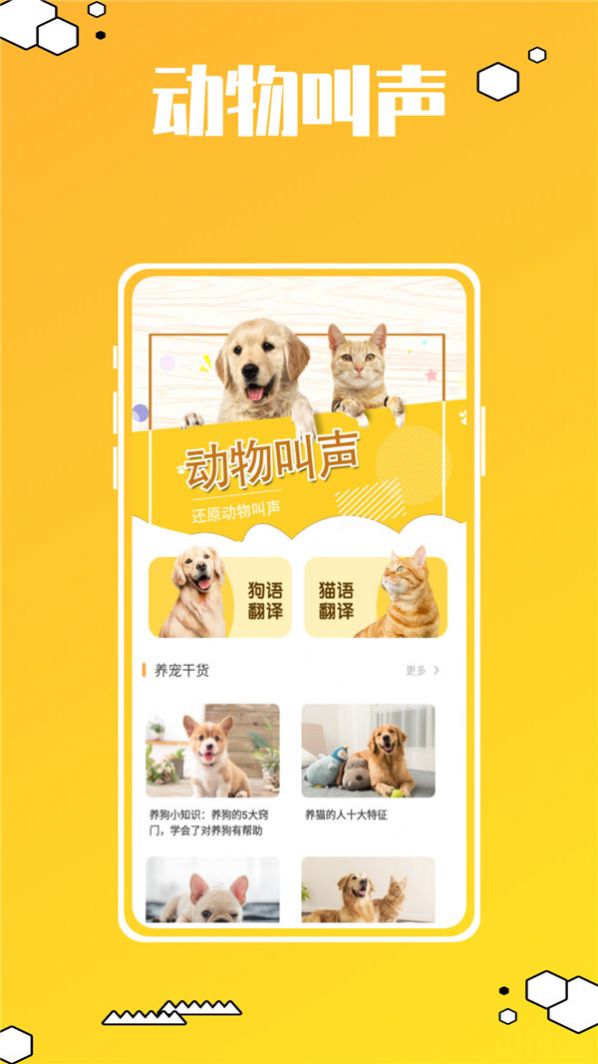 动物叫声翻译器鸭app图3