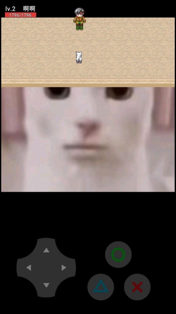 猫猫惊魂2游戏下载安装图片1