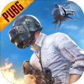 pubgmobile2.8.0国际服下载最新版 v2.7.0