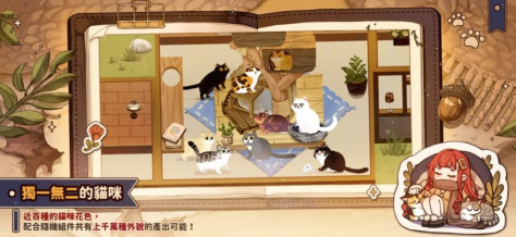 losing cats way游戏图2