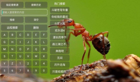 小蚂蚁多仓tv新版图3