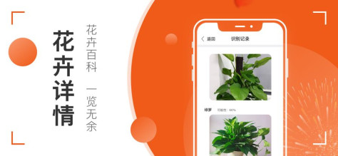 易帮手拍照识物app最新版下载图片1