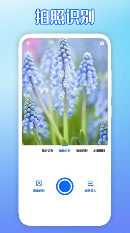 拍图识物app图3