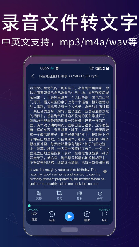 录音翻译转文字助手app图2