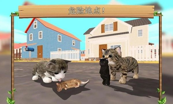 萌猫乐园手机版图1