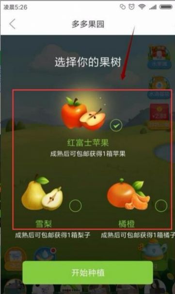 果园多多app下载红包最新版图片1