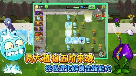 植物大战僵尸2五阶植物元旦寻宝最新版图1