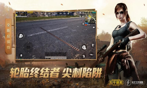 pubg超广角软件下载app官方最新版图片1