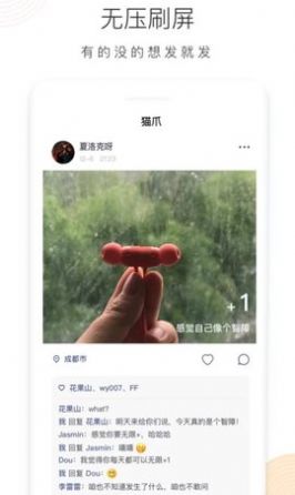 猫爪小秘密app免费版下载图片1