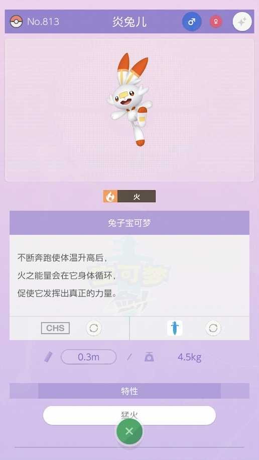 口袋妖怪末日之巅官方版图3