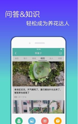 花信app下载交友聊天软件一对一图片1