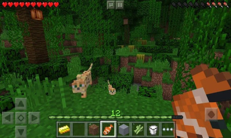 我的世界Minecraft基岩版1.19官方国际版图片1