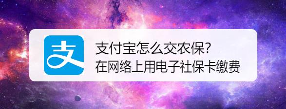 支付宝怎么交农保？在网络上用电子社保卡缴费[多图]