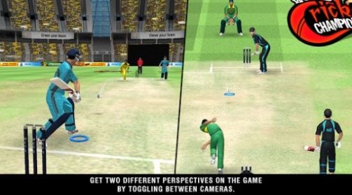 世界板球大战2游戏手机版下载图2: