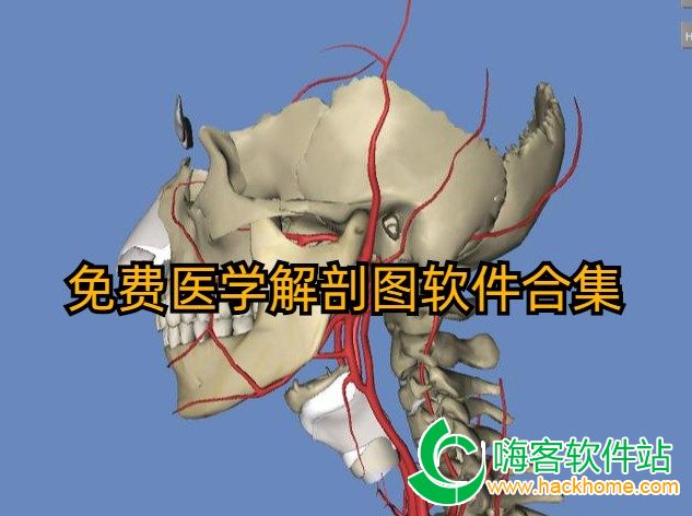 免费医学解剖图软件合集