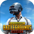 PUBG MOBILE 3.1版