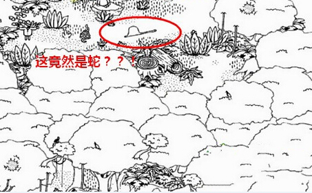 隐藏的人鸡在哪？ 森林第10关图文通关教程[图]