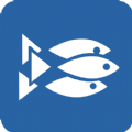 鱼群软件官网app下载 v1.0