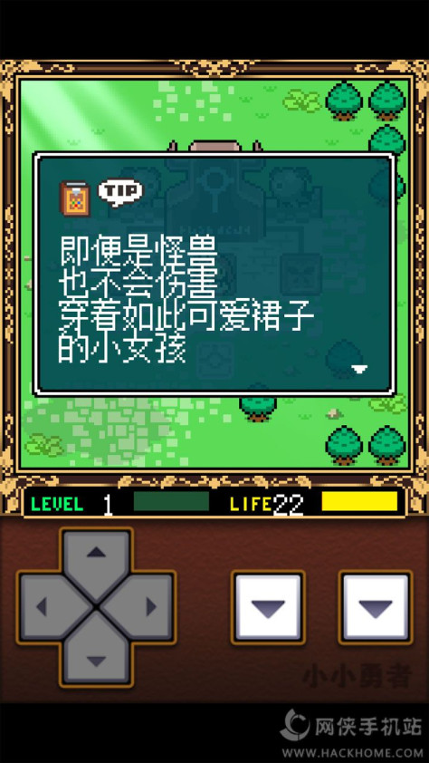 小小勇者汉化中文版（Fairune）图1: