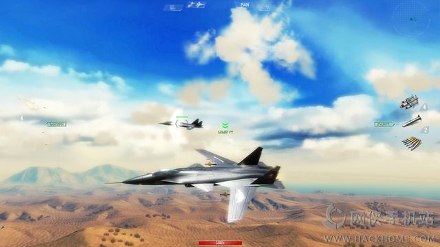 搏击长空制空霸权游戏汉化中文版（Sky Gamblers Air Supremacy）图3: