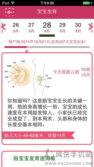 孕育宝官网app下载图3: