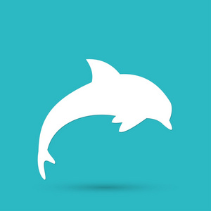 跳跃的海豚图标照片