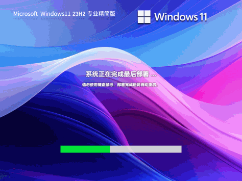 【绕过硬件检测】Windows11 64位 可更新专业精简版