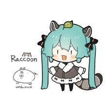 Raccoon~~~插画图片壁纸