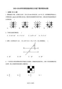 广东深圳实验学校初中部2024年七年级下学期期末考试数学试卷含答案